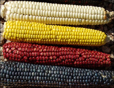 Corn as directional symbols: white—northeast, yellow—northwest, red—southeast, blue—southwest.