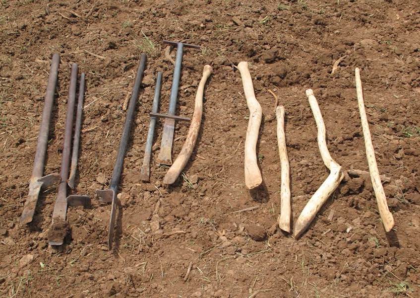 3. Traditional digging sticks (So’ya) are made from greasewood and oak. Modern planting tools are made from pipe.